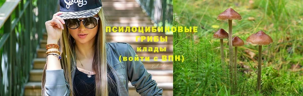 гидропоника Алексин