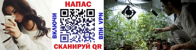 Каннабис сатива  Абдулино 